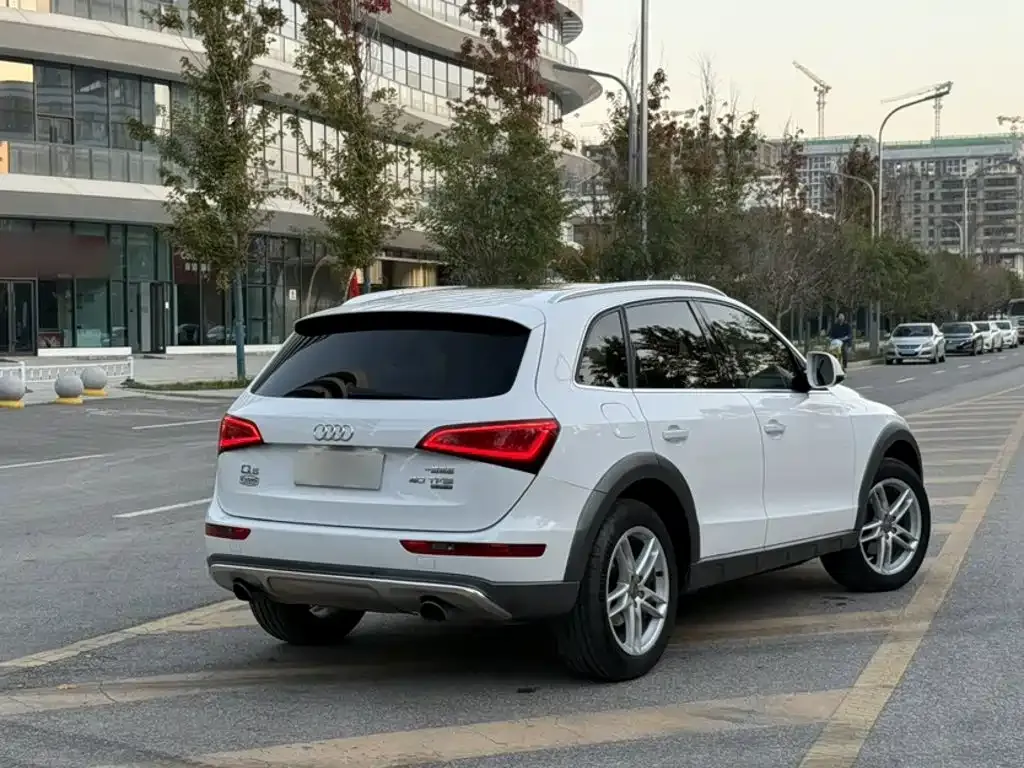 Audi Q5 Collector's Edition 40 TFSI Technology 2019 — фото 8