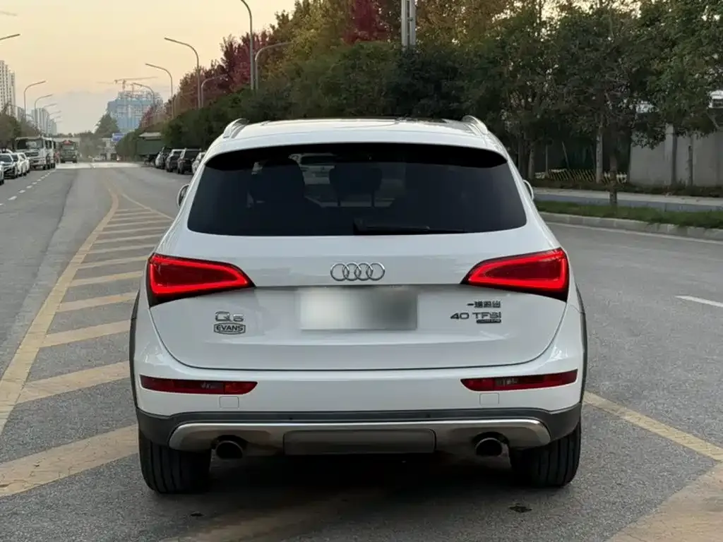 Audi Q5 Collector's Edition 40 TFSI Technology 2019 — фото 7