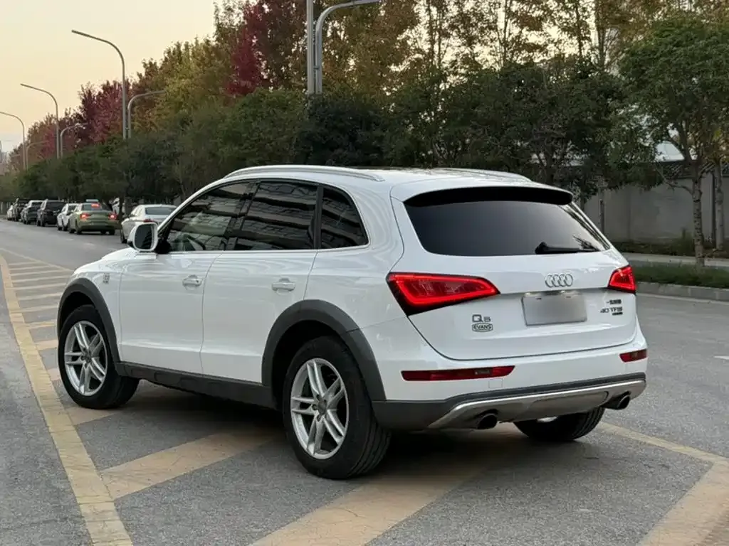 Audi Q5 Collector's Edition 40 TFSI Technology 2019 — фото 6