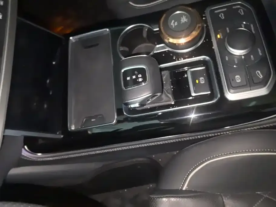 Hongqi HS7 3.0T Automatic AWD Smart Connect Qi Chang Edition 2021 — фото 16