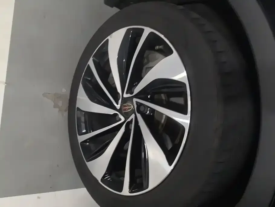 Hongqi HS7 3.0T Automatic AWD Smart Connect Qi Chang Edition 2021 — фото 6