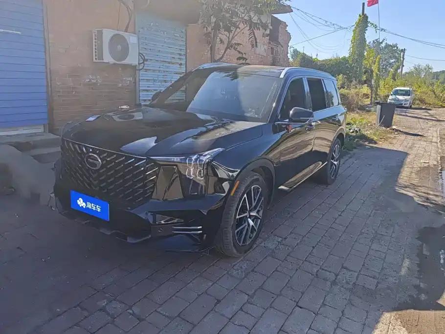 GAC Trumpchi GS8 Pilot Series 2.0TGDI 2WD Luxury Edition 5-seater 2024