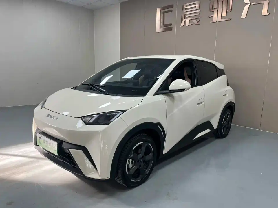 BYD Seagull Flying Edition 2024