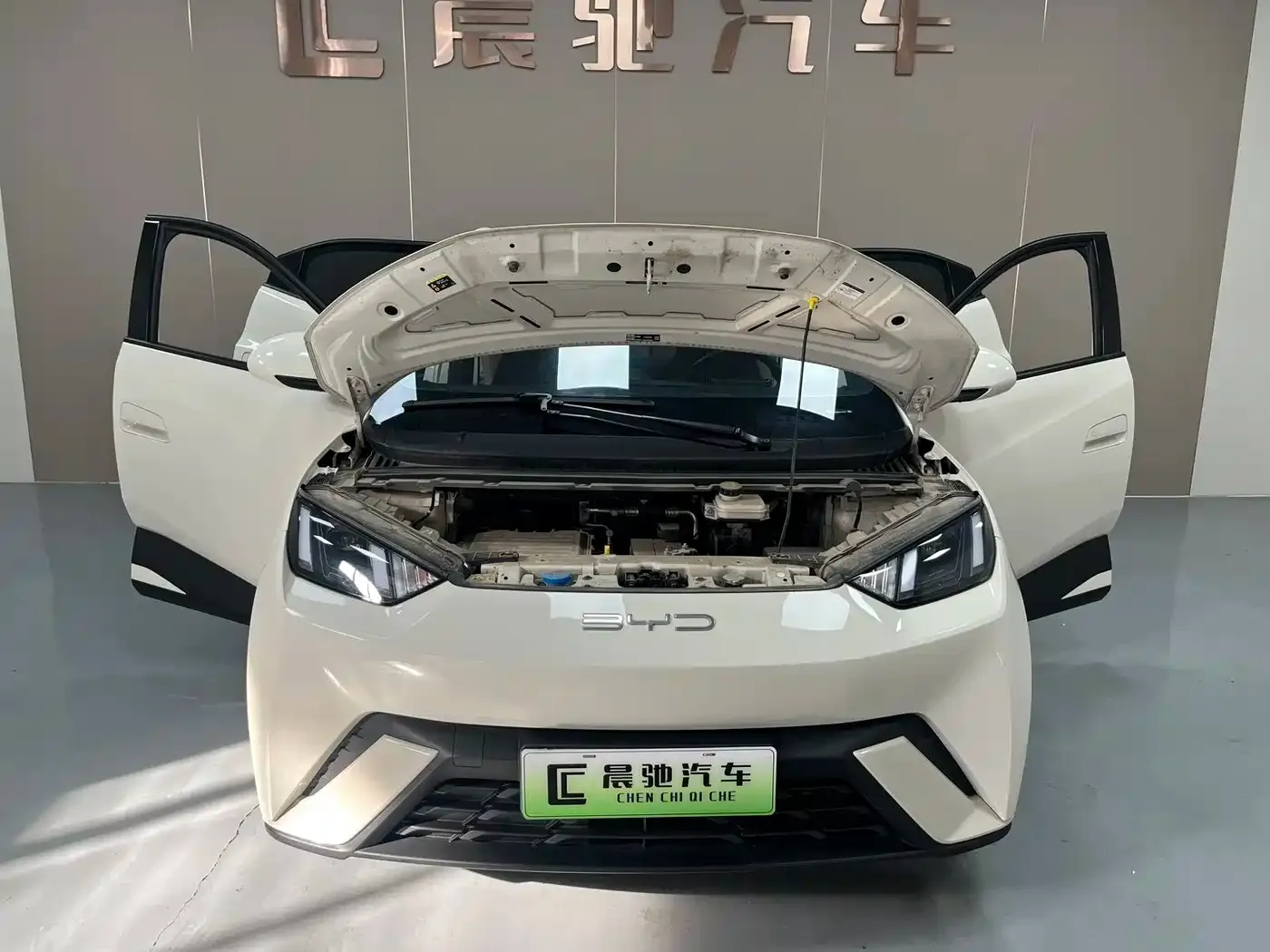 BYD Seagull Flying Edition 2024 — фото 18