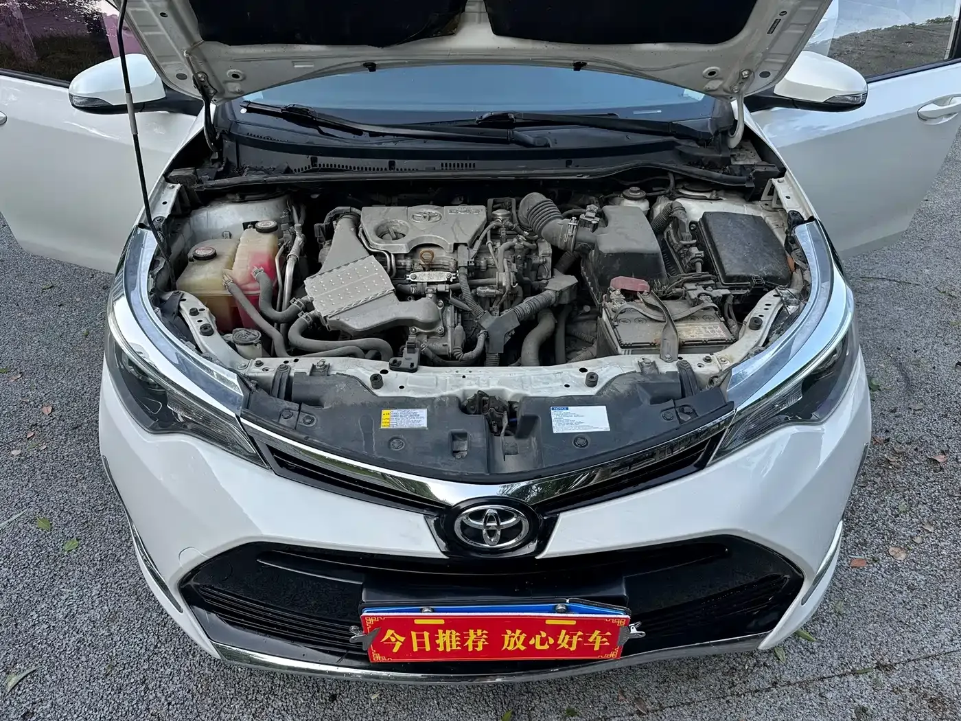 Toyota Levin Facelift 185T CVT Elite (China V) 2019 — фото 17