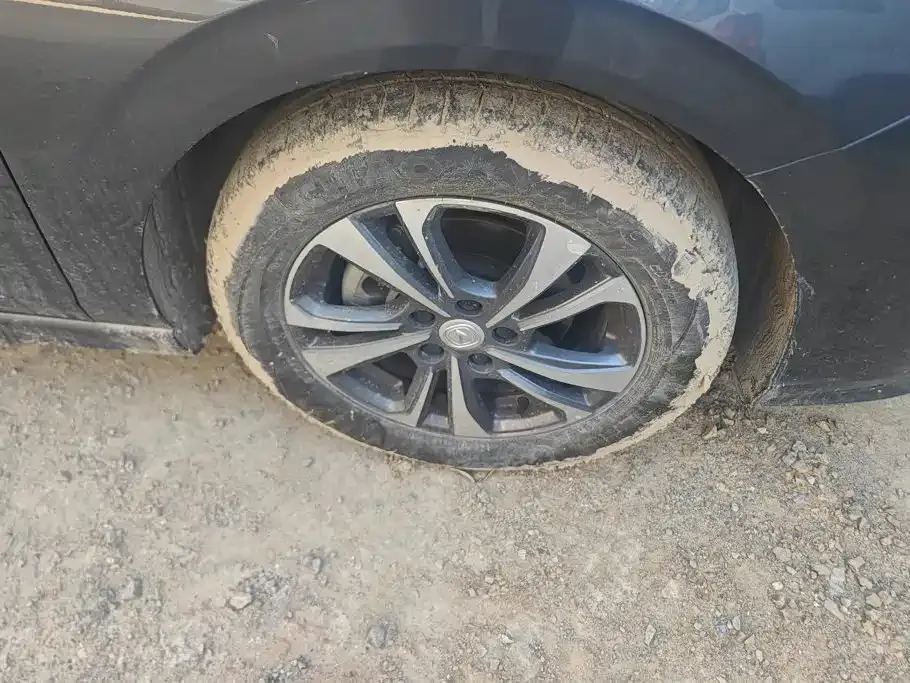 Changan Eado PLUS Blue Whale NE 1.4T GDI DCT High Performance Edition 2024 — фото 6