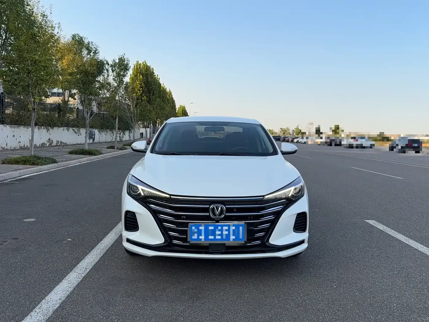 Changan Eado Model PLUS 1.6L GDI Manual Elite 2022 — фото 2