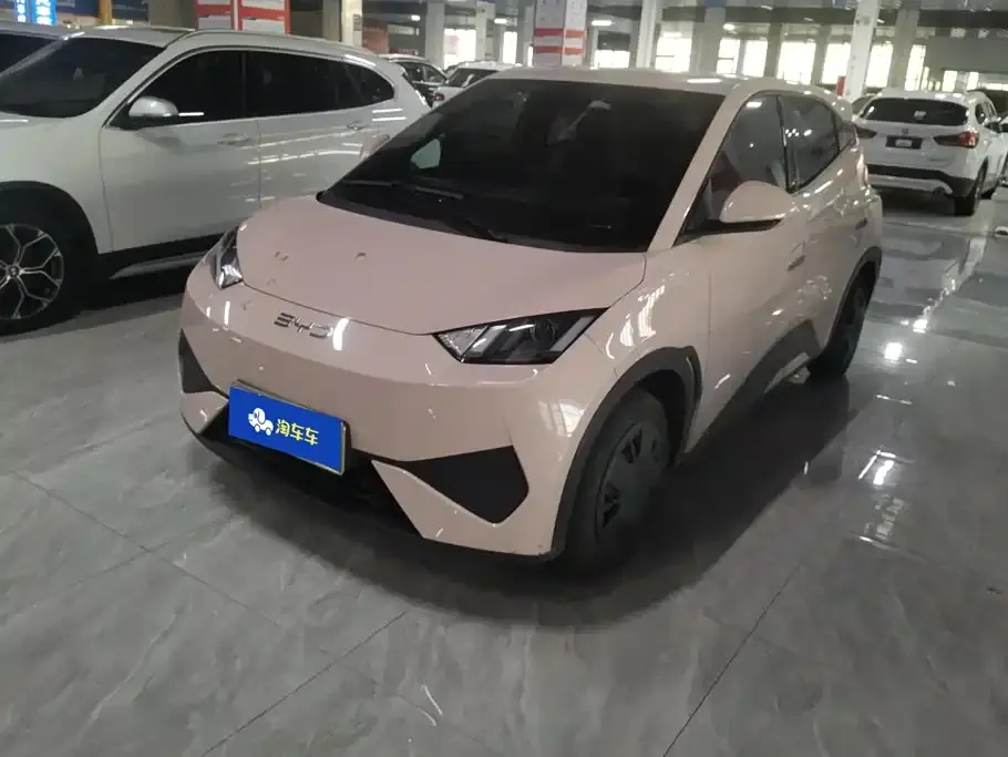 BYD Seagull Smart Drive Edition 305km Vitality Version 2025
