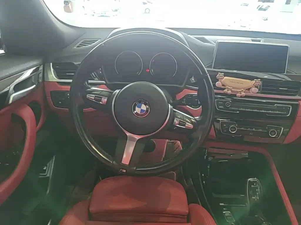 BMW X2 sDrive25i Leading M Sport Package 2020 — фото 15