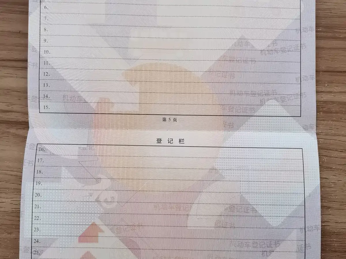 BYD Tang New Energy DM-i Glory Edition 112KM Deluxe 2024 — фото 21