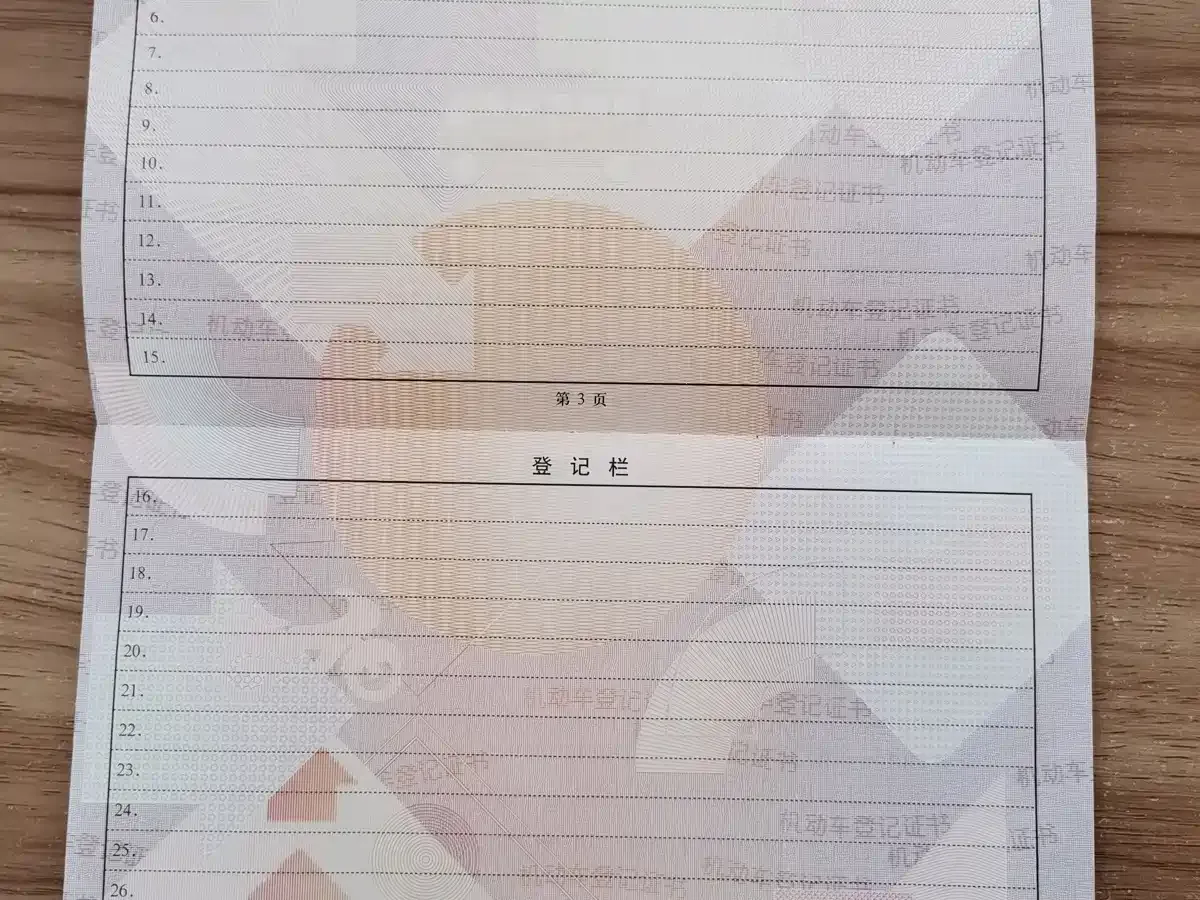 BYD Tang New Energy DM-i Glory Edition 112KM Deluxe 2024 — фото 20