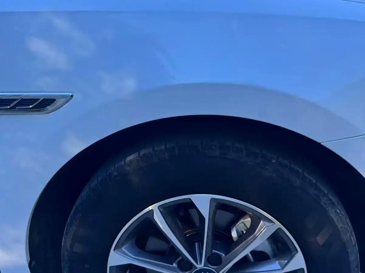 BYD Qin PLUS Glory Edition DM-i 55KM Leading 2024 — фото 4