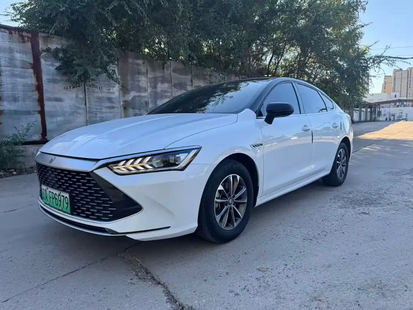 BYD Qin PLUS Glory Edition DM-i 55KM Leading 2024