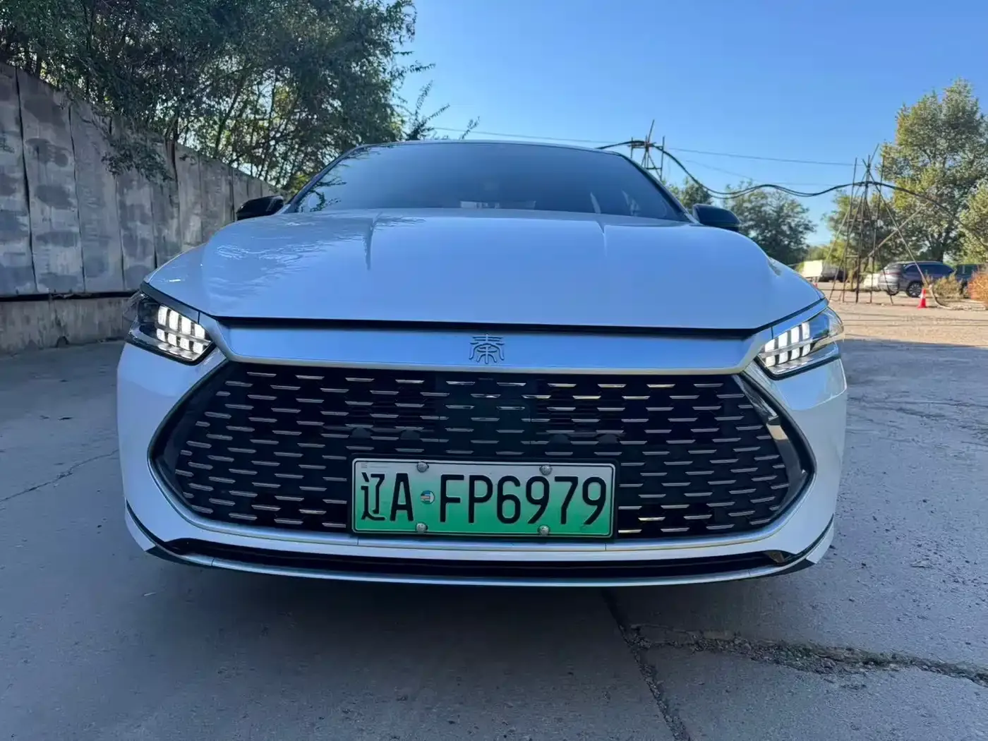 BYD Qin PLUS Glory Edition DM-i 55KM Leading 2024 — фото 2