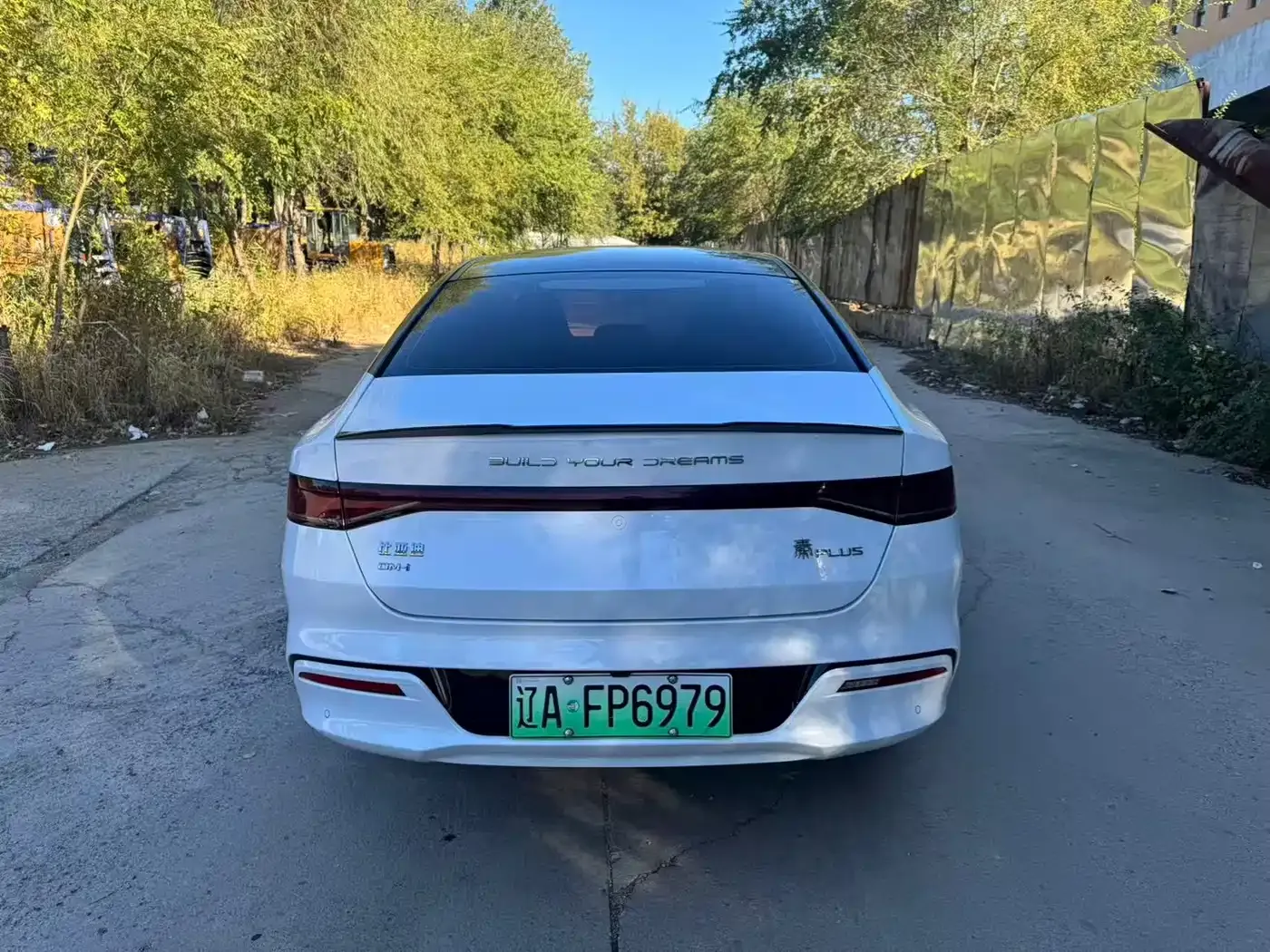 BYD Qin PLUS Glory Edition DM-i 55KM Leading 2024 — фото 7