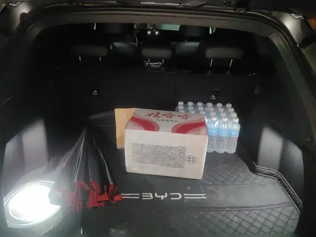 BYD Sealion 06 New Energy EV 605 Pilot Pro Edition 2026 — фото 15