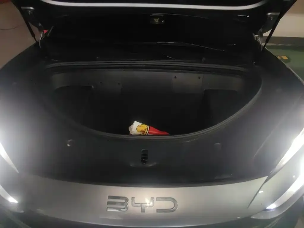 BYD Sealion 06 New Energy EV 605 Pilot Pro Edition 2026 — фото 16