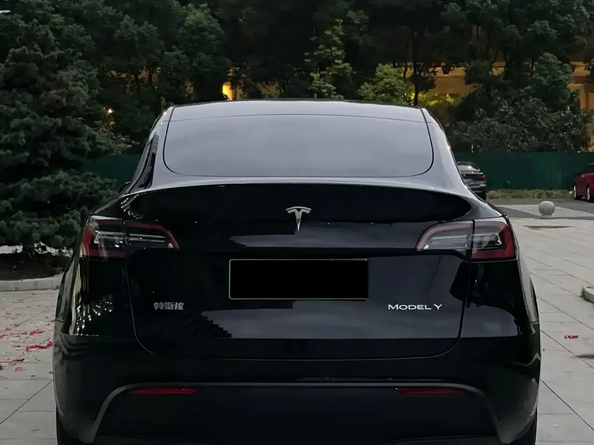 Tesla Model Y Rear-Wheel Drive Version 2022 — фото 7