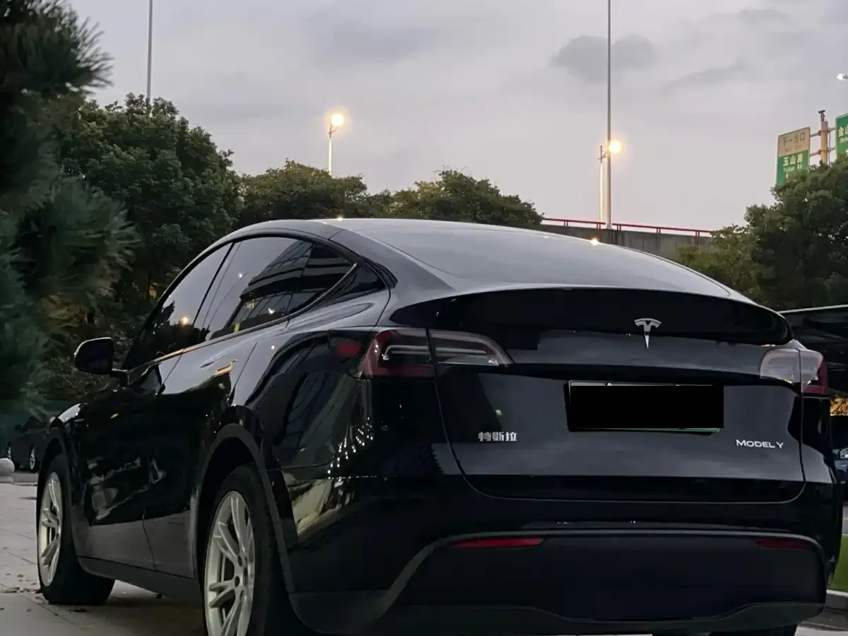 Tesla Model Y Rear-Wheel Drive Version 2022 — фото 9