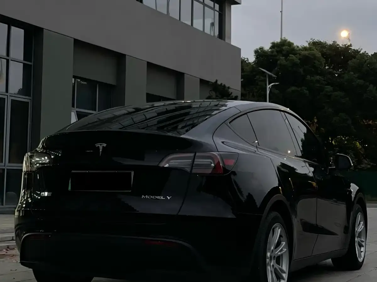 Tesla Model Y Rear-Wheel Drive Version 2022 — фото 8