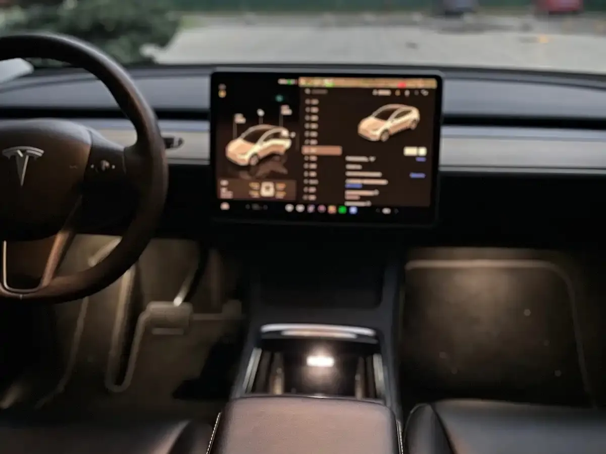 Tesla Model Y Rear-Wheel Drive Version 2022 — фото 6
