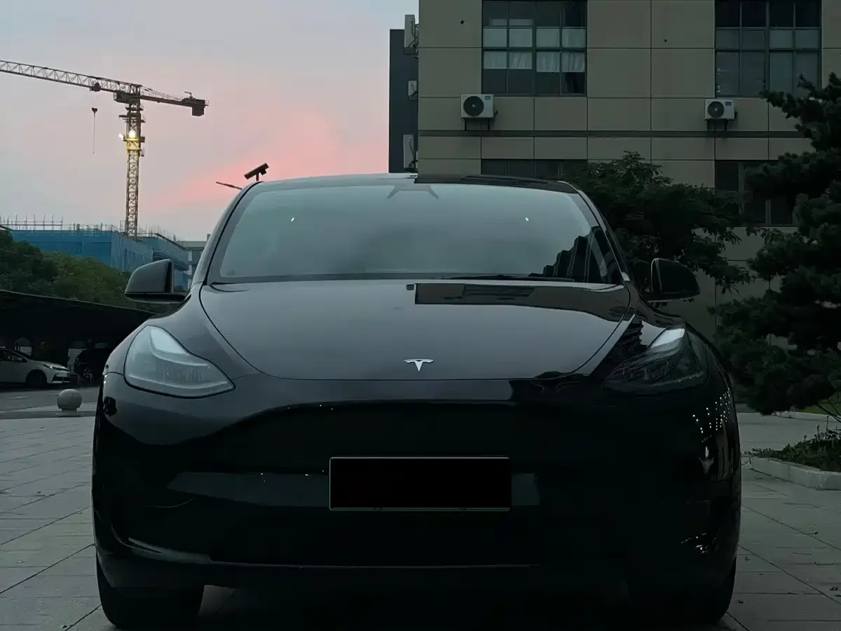 Tesla Model Y Rear-Wheel Drive Version 2022 — фото 2