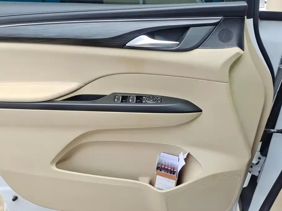 Buick GL8 ES Landmaster Exclusive Harmony Edition 2023 — фото 7