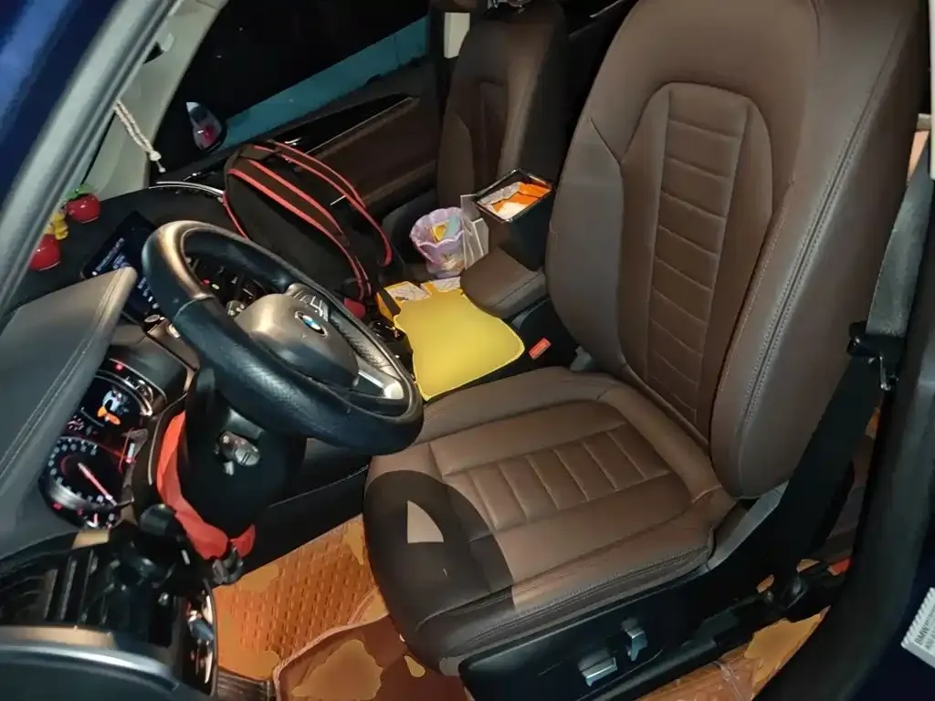 BMW X3 xDrive25i Luxury Package China V 2019 — фото 11