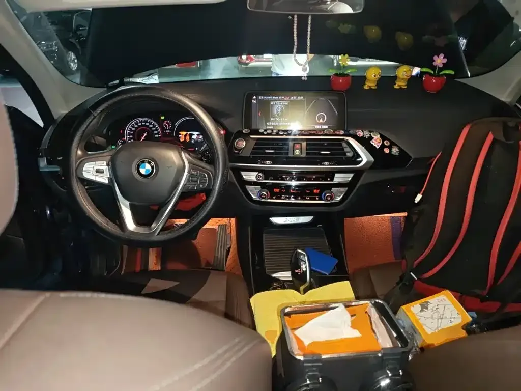 BMW X3 xDrive25i Luxury Package China V 2019 — фото 5