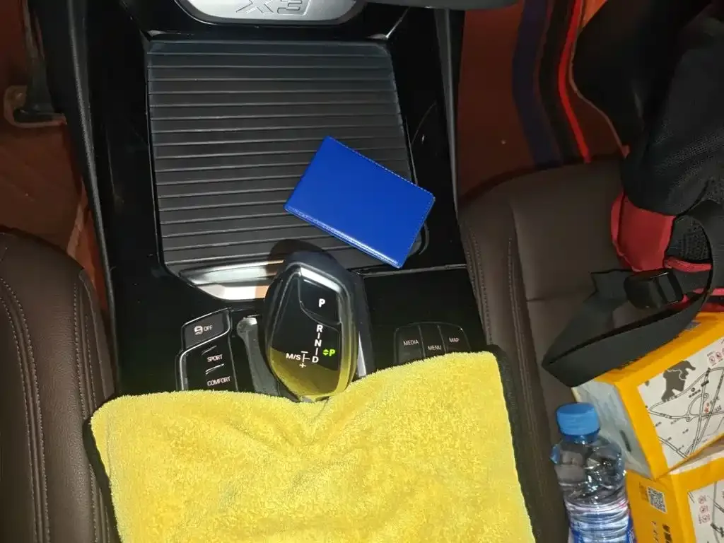 BMW X3 xDrive25i Luxury Package China V 2019 — фото 10