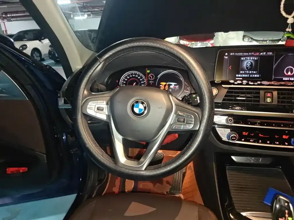 BMW X3 xDrive25i Luxury Package China V 2019 — фото 6