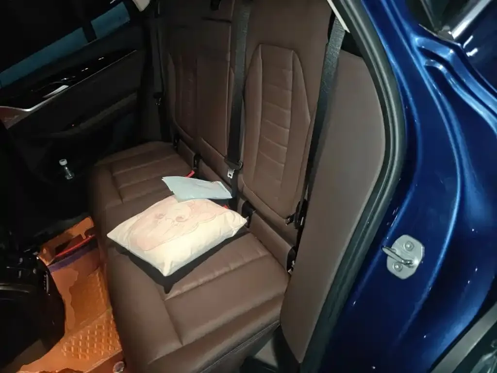 BMW X3 xDrive25i Luxury Package China V 2019 — фото 13