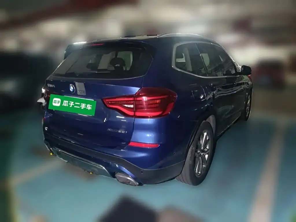 BMW X3 xDrive25i Luxury Package China V 2019 — фото 4