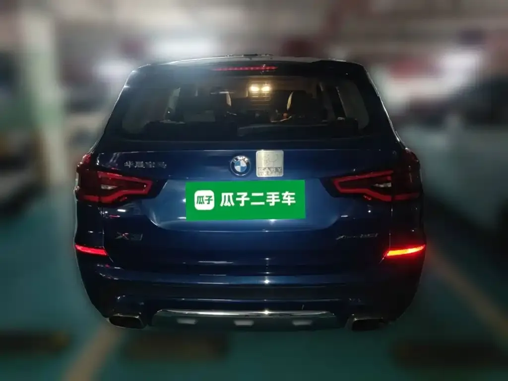 BMW X3 xDrive25i Luxury Package China V 2019 — фото 3