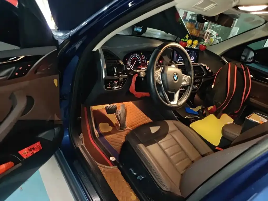 BMW X3 xDrive25i Luxury Package China V 2019 — фото 12