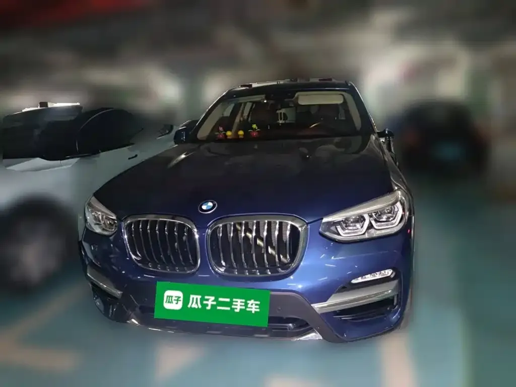 BMW X3 xDrive25i Luxury Package China V 2019 — фото 2