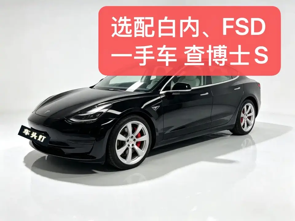 Tesla Model 3 (Import) Performance High-Efficiency All-Wheel Drive Version 2019