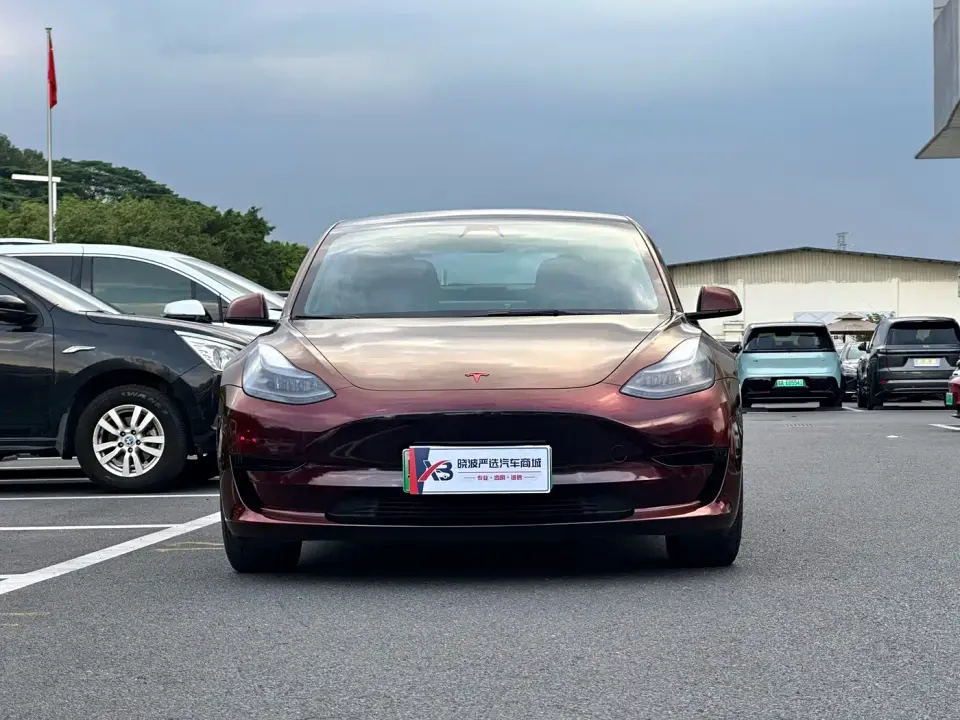 Tesla Model 3 Standard Range Rear-Wheel Drive Upgrade 3D6 2021