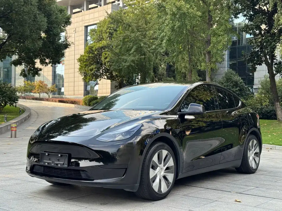 Tesla Model Y Rear-Wheel Drive Version 2022