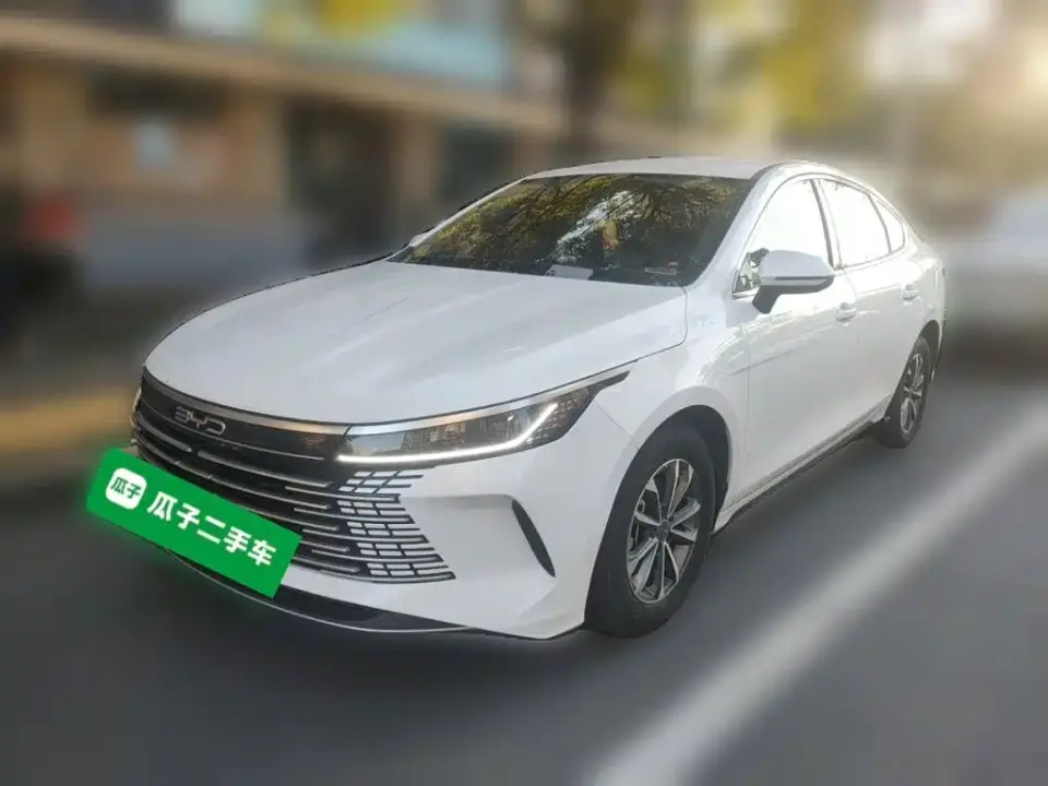 BYD Destroyer 05 Glory Edition DM-i 55KM Luxury 2024