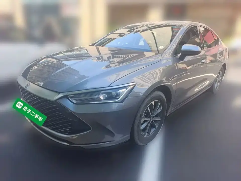 BYD Qin PLUS Champion Edition DM-i 55KM Leading 2023