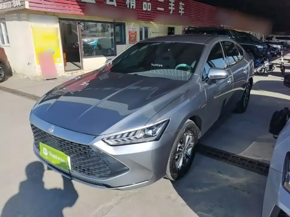 BYD Qin PLUS Glory Edition DM-i 55KM Leading 2024