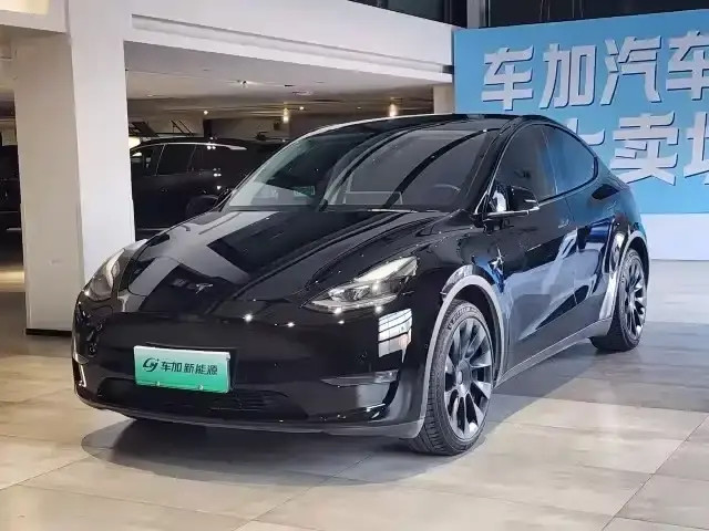 Tesla Model Y Standard Range Rear-Wheel Drive 2021
