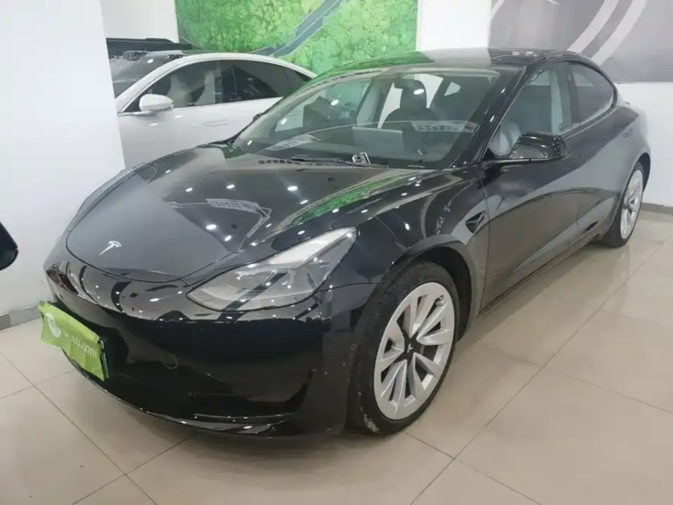 Tesla Model 3 Standard Range Rear-Wheel Drive Upgrade 3D6 2021