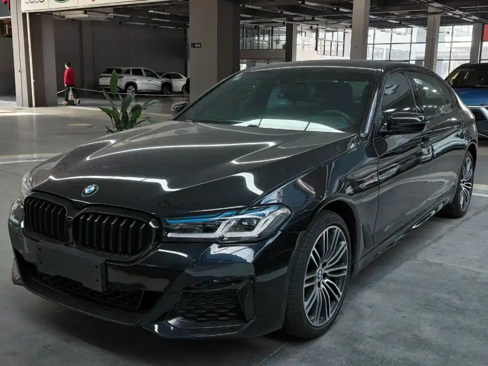 BMW 5 Series 530Li Leading M Sport Package 2019