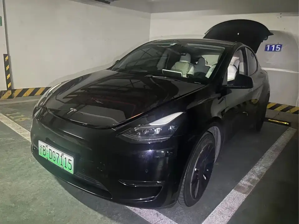 Tesla Model Y Standard Range Rear-Wheel Drive 2022