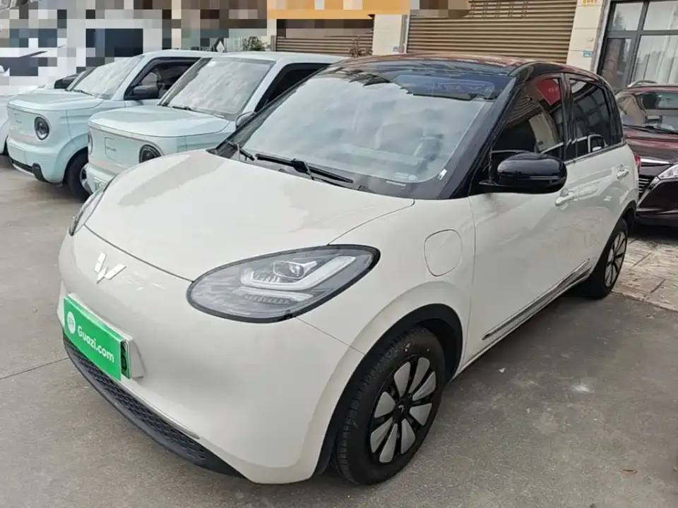 Wuling Motors Wuling Bingo Model 333km Joy+ Version 2024