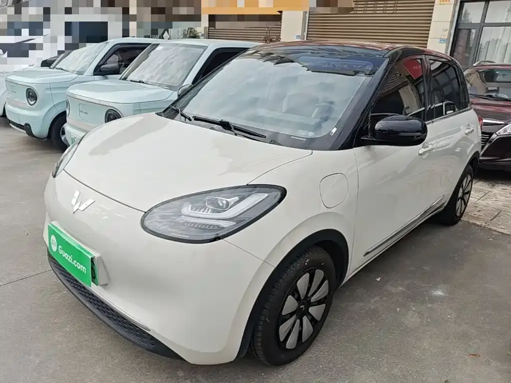 Wuling Motors Wuling Bingo Model 333km Joy+ Version 2024