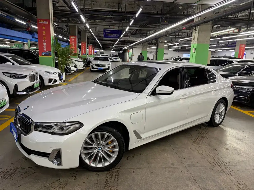 BMW 5 Series New Energy Facelift 535Le Luxury Package 2021