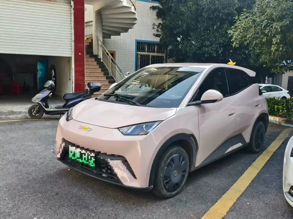 BYD Seagull Glory Edition 305km Freedom Edition 2024